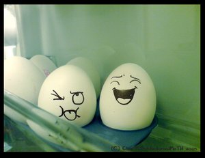 eggs fun